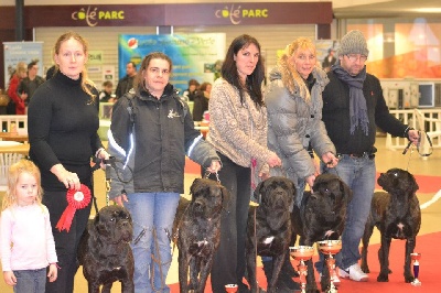 des Gardiens des Murailles - Speciale de Race Paris Dog Show