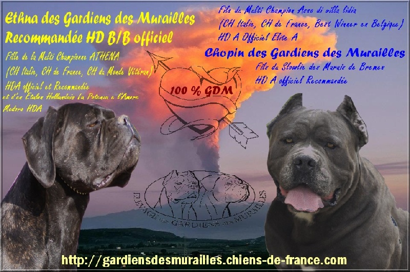 Ethna des GDM x Chopin des GDM